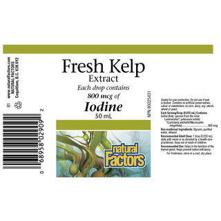 Natural Factors Fresh Kelp Extract 50mL
