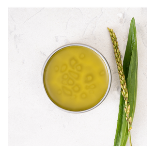 Matter All Heal Salve 50g