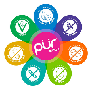Pur Gum Pur Mints Tin Cinnamon 30g