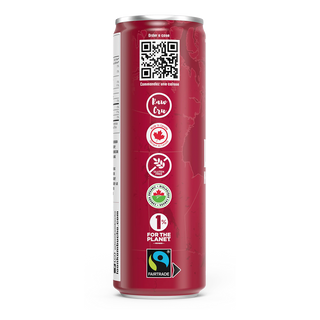 Loon Kombucha Organic Kombucha Beet Lemonade 355mL