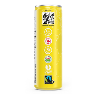 Loon Kombucha Organic Kombucha Lemon Ginger 355mL