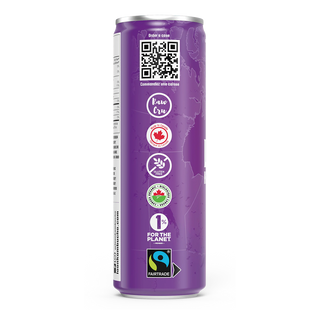 Loon Kombucha Organic Kombucha Violet Lemongrass 355mL
