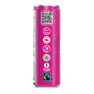 Loon Kombucha Organic Kombucha Very Cranberry 355mL