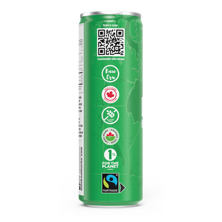 Loon Kombucha Organic Kombucha Sour Apple 355mL