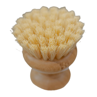 No Tox Life Casa Agave Dish Brush