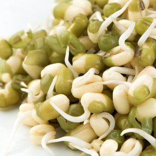 Mumm's Sprouting Mung Beans 125g