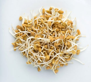 Mumm's Sprouting Fenugreek 125g