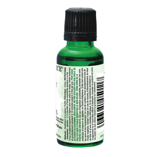 Aromaforce Essential Oil Eucalyptus 30mL