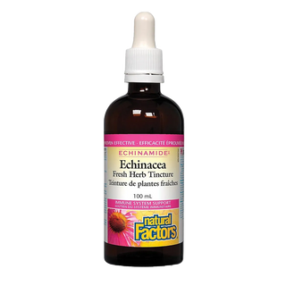 Natural Factors Echinamide Echinacea Fresh Herb Tincture 100mL