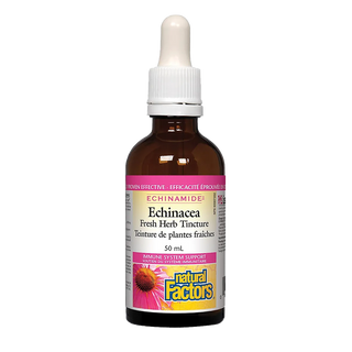 Natural Factors Echinamide Echinacea Fresh Herb Tincture 50mL