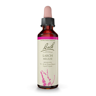 Bach Larch 20mL