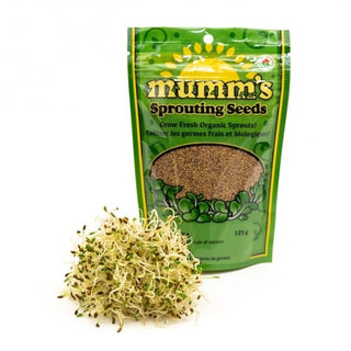 Mumm's Sprouting Alfalfa Seeds 125g