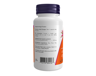 Now Vitamin B-6 100mg 100 Veggie Caps