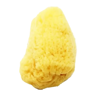 Axel Kraft Sea Sponge Natural