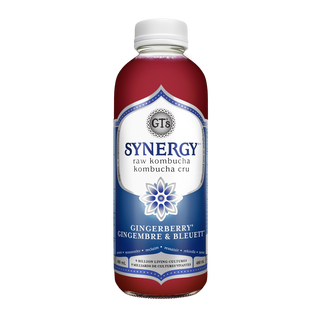 GT Kombucha Raw Kombucha Gingerberry 480mL