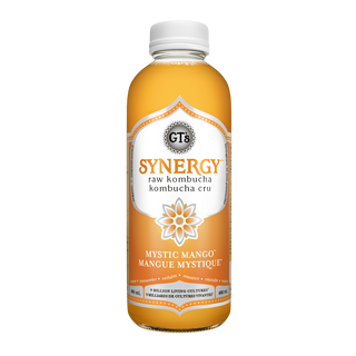 GT Kombucha Raw Kombucha Mystic Mango 480mL