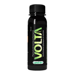 Land Art Volta Energy Drink 65mL