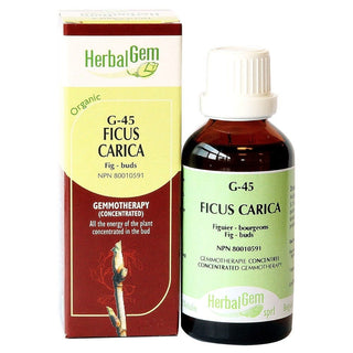 HerbalGem G-45 Ficus Carica Organic 15mL