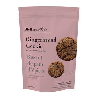 Stellar Eats Gingerbread Cookie Mix Gluten Free 241g