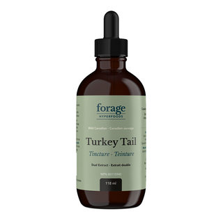 Forage Hyperfoods Turkey Tail Tincture Original 118mL