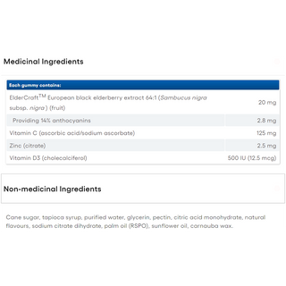 Natural Factors Big Friends Elderberry Gummies with Vitamins C & D plus Zinc 60 Gummies