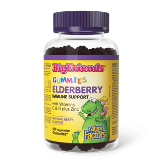 Natural Factors Big Friends Elderberry Gummies with Vitamins C & D plus Zinc 60 Gummies