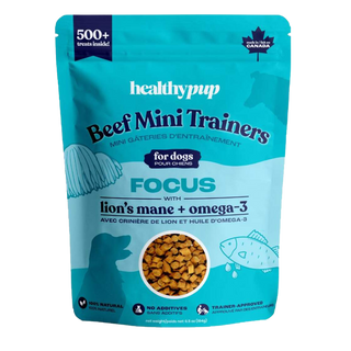 Healthy Pup Beef Mini Trainers For Dogs Focus 184g