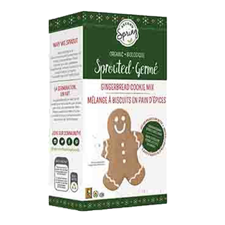 Second Spring Organic Sprouted Gingerbread Cookie Mix 246g