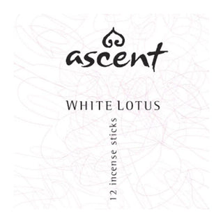 Ascent Incense Sticks White Lotus 12 Packs