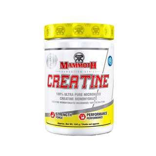 Mammoth Creatine 300g