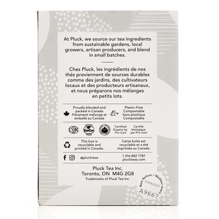 Pluck Tea Organic Green Tea Fields of Green 15 Tea Bags