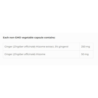 NFH Ginger SAP 60 Capsules