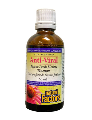 Natural Factors Echinamide Anti-Viral Tincture 50mL