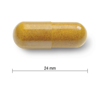 Jamieson Curcumin Turmeric 550mg 90 Veggie Caps