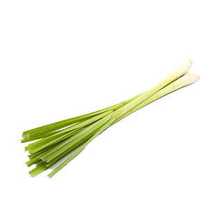 Produce Vegetable Organic Herbs Lemongrass 20g