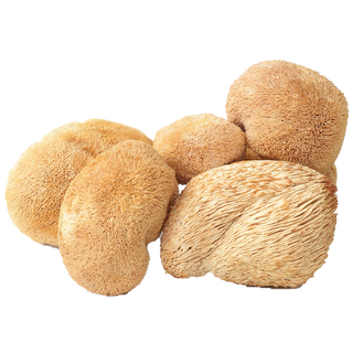 Produce Vegetable Organic Mushroom Dried Lion's Mane 30g