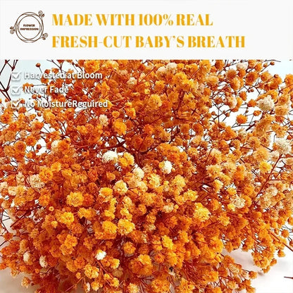 Dried Flower Orange Baby Breath Gypsophila Bouquet for Weddings & Home Decor