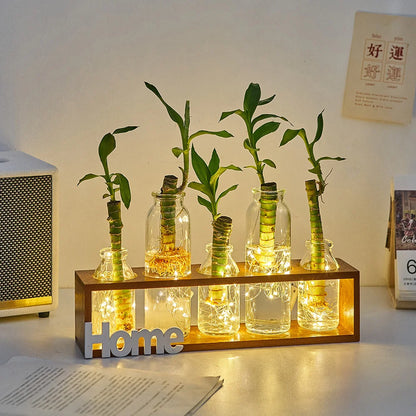 Nordic Home Flower Vase - Modern Glass Plant Pot for Room Decoration