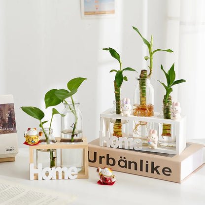 Nordic Home Flower Vase - Modern Glass Plant Pot for Room Decoration
